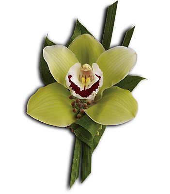 Green Orchid Boutonniere from Richardson's Flowers in Medford, NJ